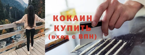 прущие грибы Верхний Тагил