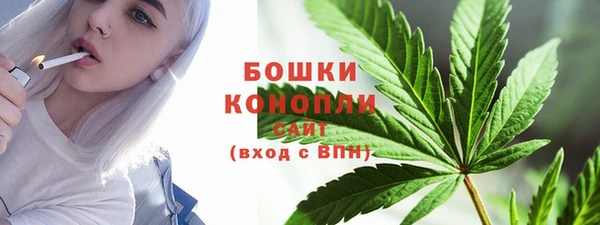 прущие грибы Верхний Тагил