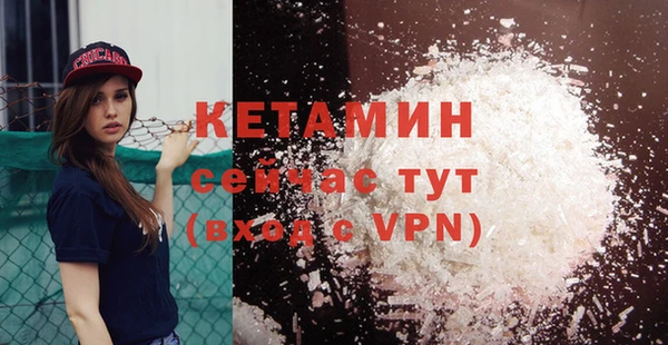 прущие грибы Верхний Тагил