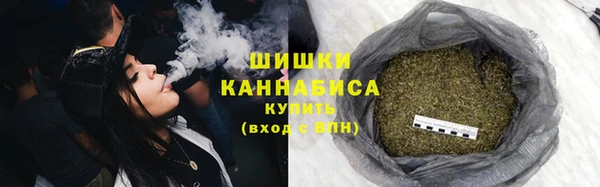 прущие грибы Верхний Тагил