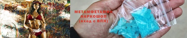 прущие грибы Верхний Тагил