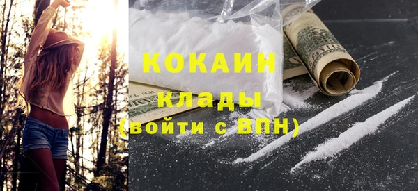 прущие грибы Верхний Тагил