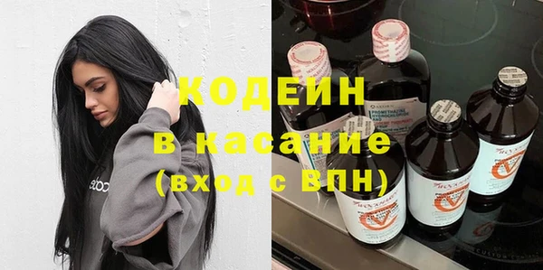 прущие грибы Верхний Тагил