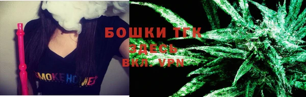 прущие грибы Верхний Тагил